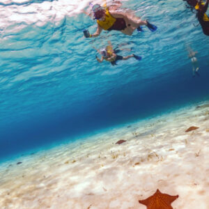 COZUMEL  com SNORKEL NO MAR e CLUBE DE PRAIA PLAYA MIA