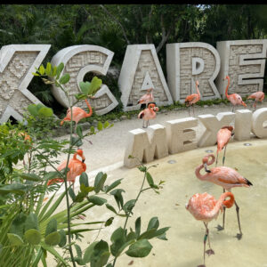 Parque Xcaret Plus  Com Snorkel Na Praia E Piscinas Naturais, Rios Subterraneos E Apresentações Da Cultura Mexicana