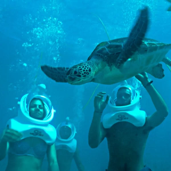 Xcaret Plus TOUR con Transporte 🇲🇽 Mexicanos - Imagen 7