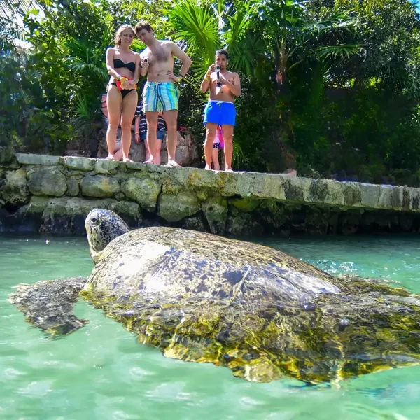Xcaret Plus TOUR con Transporte 🇲🇽 Mexicanos - Imagen 12