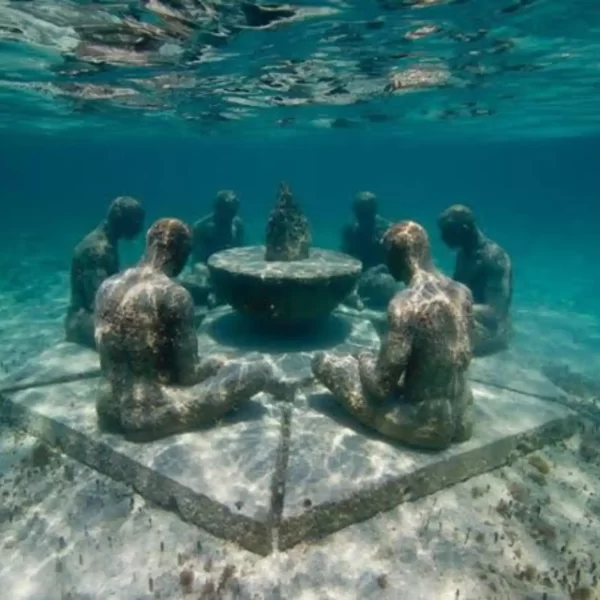 Tour a ISLA MUJERES en Catamaran TODO Incluido 🔥 + CLUB DOLPHIN DISCOVERY - Imagen 18