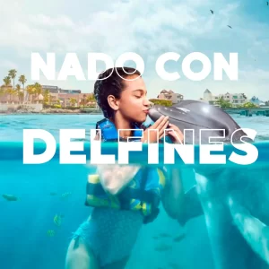 Encuentro con Delfines 🐬 en ISLA MUJERES Tour Familiar