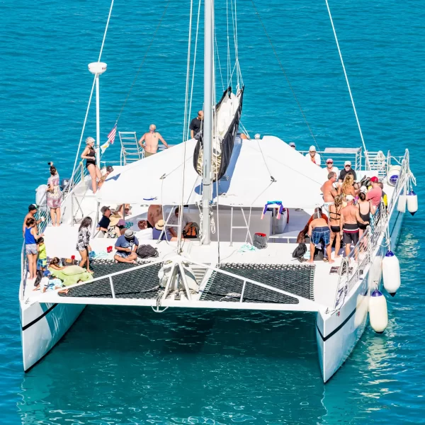 Tour a ISLA MUJERES en Catamaran TODO Incluido 🔥 + CLUB DOLPHIN DISCOVERY - Imagen 6