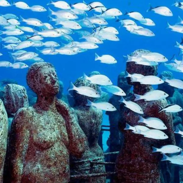 Tour a ISLA MUJERES en Catamaran TODO Incluido 🔥 + CLUB DOLPHIN DISCOVERY - Imagen 16