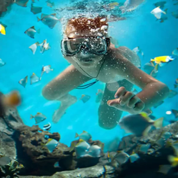 Tour a ISLA MUJERES en Catamaran TODO Incluido 🔥 + CLUB DOLPHIN DISCOVERY - Imagen 15